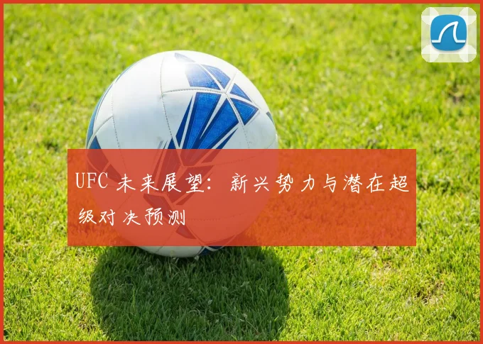 UFC 未来展望:新兴势力与潜在超级对决预测